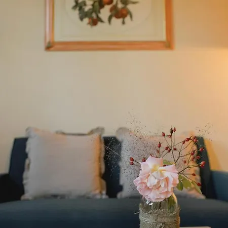 Donato With Shared Pool * Lucca