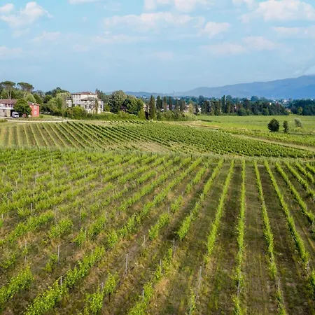 Donato With Shared Pool