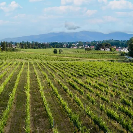 Lägenhet Donato With Shared Pool Lucca